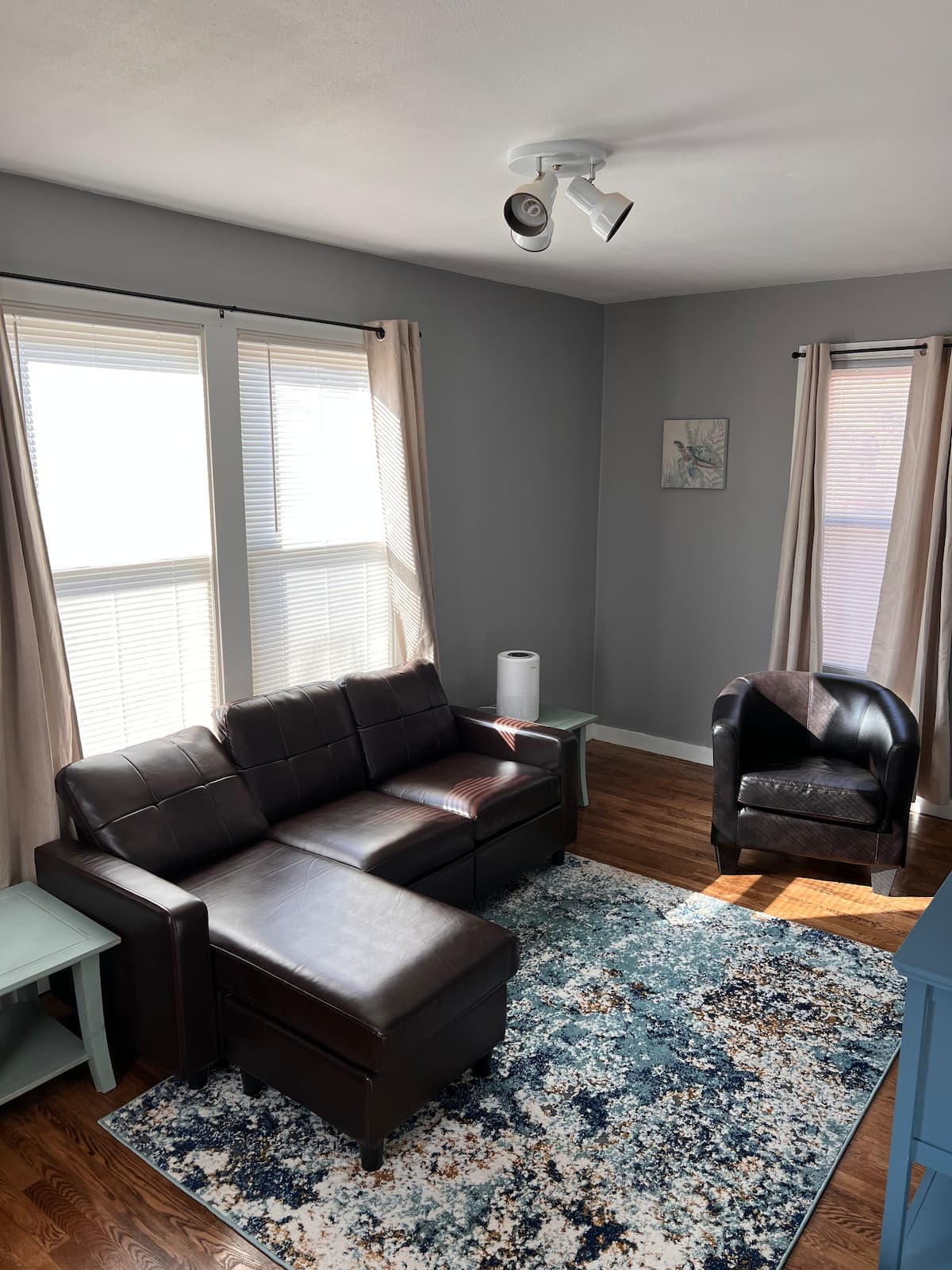 Living room looking toward the windows in Sparta Renovated 2-Bedroom