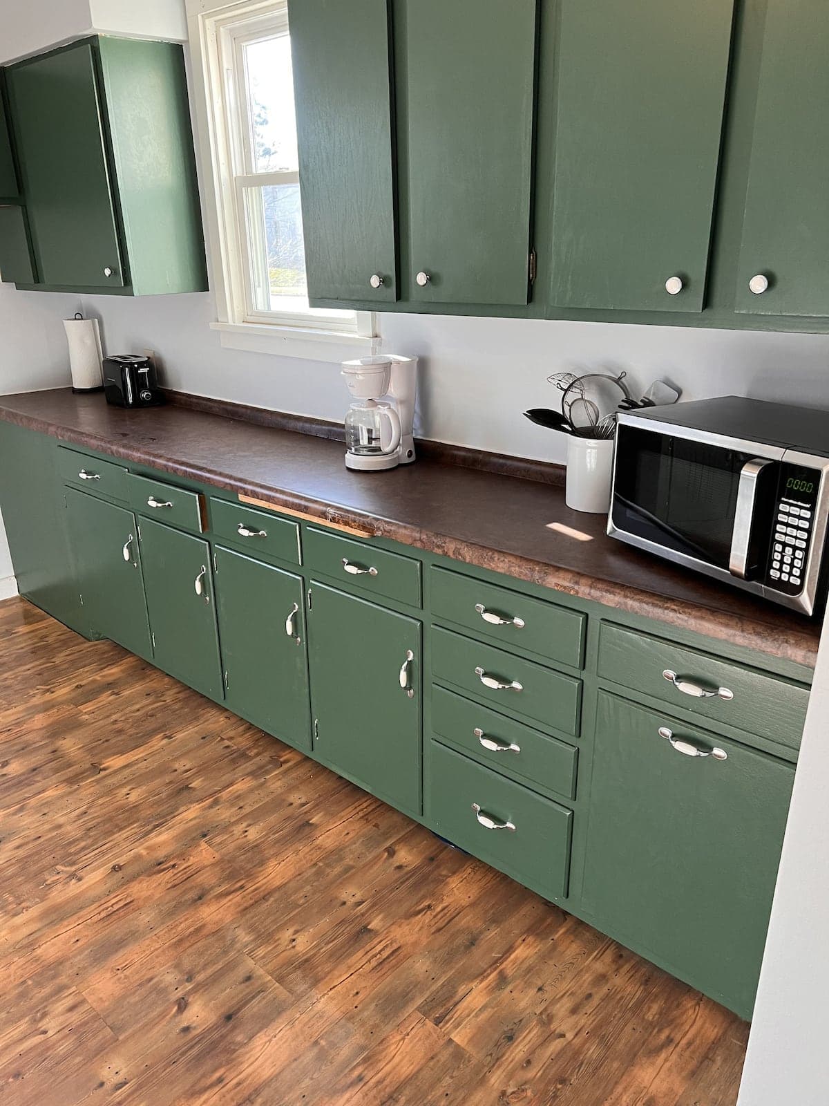 Kitchen with green cabinets in the lower Sparta apartment